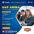 Ariba Training In Hyderabad | SAP Ariba Course