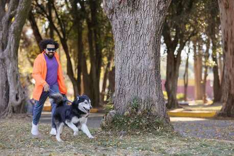 Visakhapatnam, Pet Sitting, Dog Walkers In Visakhapatnam