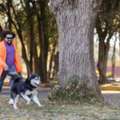 Dog Walkers In Visakhapatnam