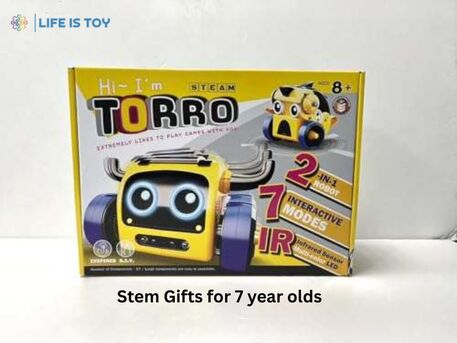 New York, Toys & Games, Buy Stem Gifts For 7 Year Olds With Confidence
