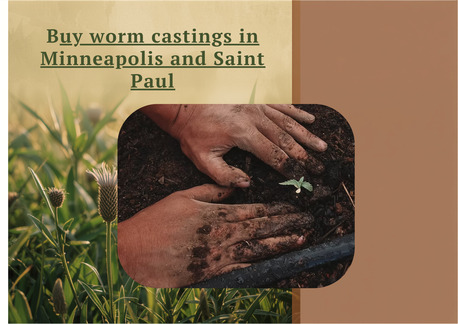 New York, Farm & Garden, Where Can I Buy Worm Castings In Minneapolis And Saint Paul?