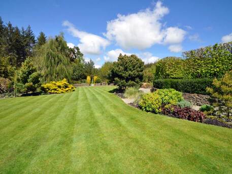 Surrey, Business, Looking For Commercial Grounds Maintenance In Warlingham?