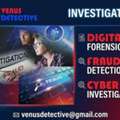 INR 100, Professional Trusted Fraud Investigation In India | Venus Detective Noida
