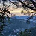 Book A Luxury Homestay In Kasauli For Your Next Holiday