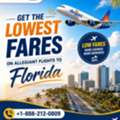 Get The Lowest Fares On Allegiant Flights To Florida