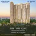 INR 39130000,  3 BR,  2795 Sq. Feet,  3BHK + STUDY Whiteland The Aspen Sector 76 Gurgaon