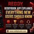 ReddyBook App Explained: Everything New Users Should Know