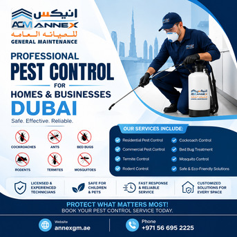 Abu Dhabi, Business, Best Pest Control Services In Dubai | Safe & Affordable