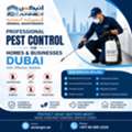 Best Pest Control Services In Dubai | Safe & Affordable