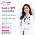 Cost Of IVF In Somalia