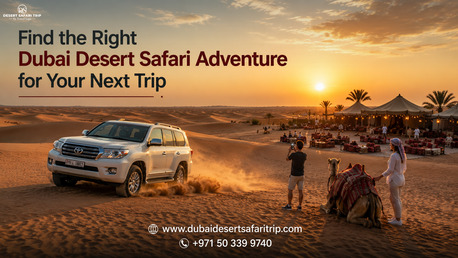 Dubai, Travel, Find The Right Dubai Desert Safari Adventure For Your Next Trip