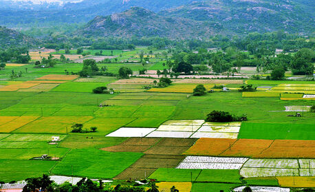Mumbai, Agricultural Land, Farmhouse In Alwar | Luxury Farmhouse & Farmland Investment Naugaon, Alwar