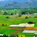 Farmhouse In Alwar | Luxury Farmhouse & Farmland Investment Naugaon, Alwar