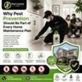 Why Pest Prevention Should Be Part Of Every Home Maintenance Plan