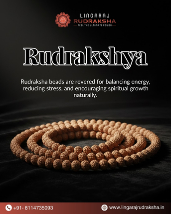 Hyderabad, Jewelry, Trusted Rudraksha Shop In Hyderabad