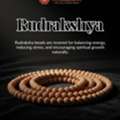 Trusted Rudraksha Shop In Hyderabad