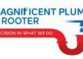 Top-Rated Plumbing Services In Pleasanton, CA
