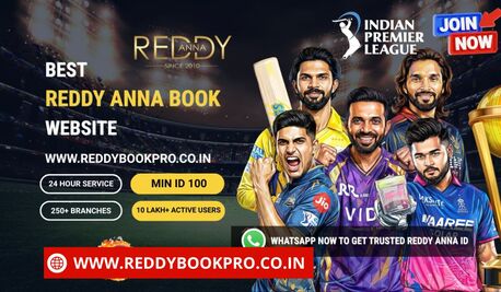 Mumbai, Health, Reddy Anna Book ID