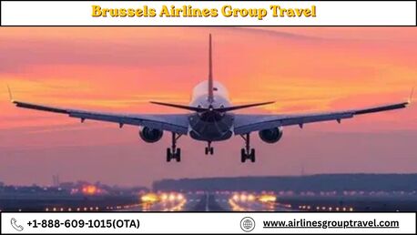 Los Angeles, Travel, What Facilities Does Brussels Airlines Offer For Groups?