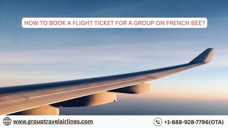 New York, Travel, How To Book A Flight Ticket For A Group On French Bee?
