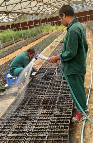 Riyadh, Job Seekers, Senior Agricultural Engineer / Landscaping Supervisor Seeking Position