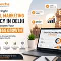 How The Right Digital Marketing Agency In Delhi Can Transform Your Business Growth