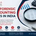 Top Forensic Accounting Firms In India | Nangia Global