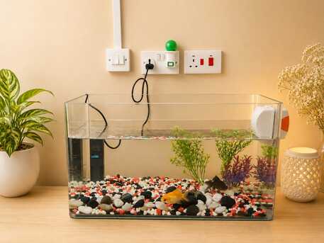 Juffair, Household Items, BHD 18,  Fish Tank With 2 Gold Fishes, Oxygen Pump, Fish Net, Magnetic Cleaner And Fish Food
