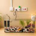 BHD 18,  Fish Tank With 2 Gold Fishes, Oxygen Pump, Fish Net And Magnetic Cleaner