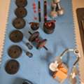 SAR 1,  Rack , Dumbels