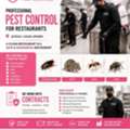 Restaurant Pest Control Experts In Jeddah | Safe • Certified • Reliable 🛡️🐜