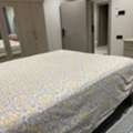 SAR 2200/month,  Furnished,  1234 Sq. Meter,  Furnished Room Available For Executive Bachelor (Pakistani)