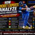 Expert Cricket Match Prediction Guide For Better Insights