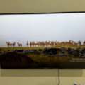 SAR 1300,  Sony 49 Inch SMART TV