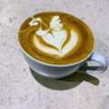 Im Professional Barista Saudi Arabia Need Job Urgent