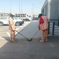 Job