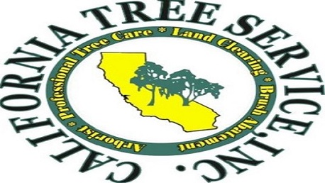 New York, Business, Saira Tree Service