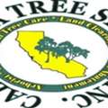 Saira Tree Service