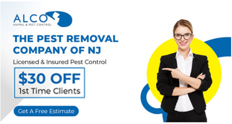 New York, Pest Control, Pests Of Spring In NJ - ALCO Animal & Pest Control