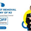 Pests Of Spring In NJ - ALCO Animal & Pest Control