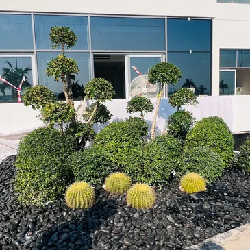 Riyadh, Farm/Garden, Luxury Landscaping For Shopping Malls & Commercial Centers In Riyadh