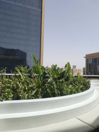 Riyadh, Farm/Garden, Luxury Landscaping For Shopping Malls & Commercial Centers In Riyadh