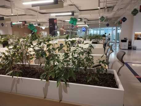 Riyadh, Farm/Garden, Luxury Landscaping For Shopping Malls & Commercial Centers In Riyadh