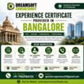 Professional Experience Certificate Provider For Bangalore Jobs