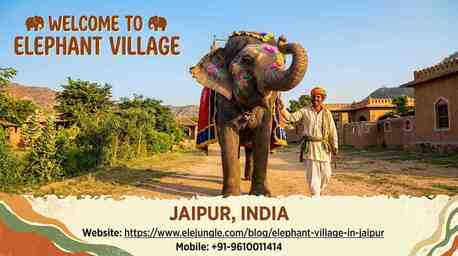 Jaipur, Travel, Escape To Hathi Gaon: Your Ultimate Guide To Jaipur