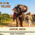 Escape To Hathi Gaon: Your Ultimate Guide To Jaipur's Elephant Village