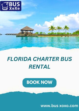 Miami, Travel, Reliable Florida Charter Bus Rental