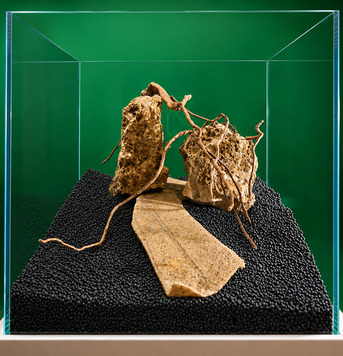 Riyadh, Pet Supplies, SAR 250,  35 X 35 Cm Cube Tank With Hardscape