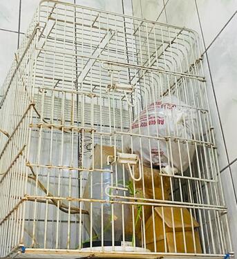 Muharraq, Pet Supplies, BHD 3,  Large, Strong Bird Cage For Sale At 3 BHD Only