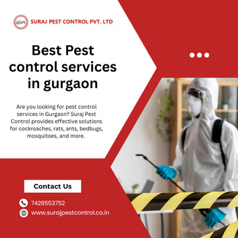 New Delhi, Pest Control, Best Pest Control Services In Gurgaon
